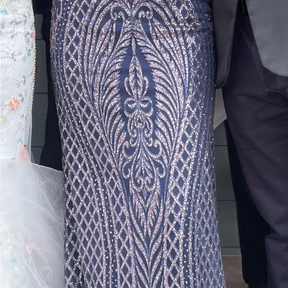 Elegant Navy and Silver Embroidered Gown